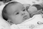 10 Babies2012